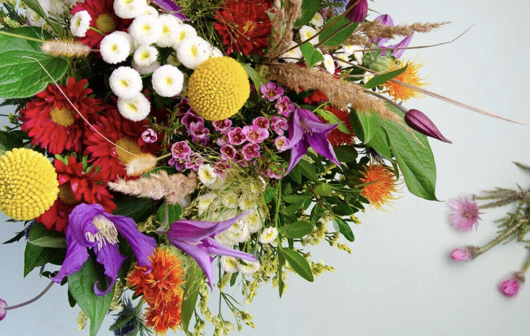 Wilde Blumenwiese