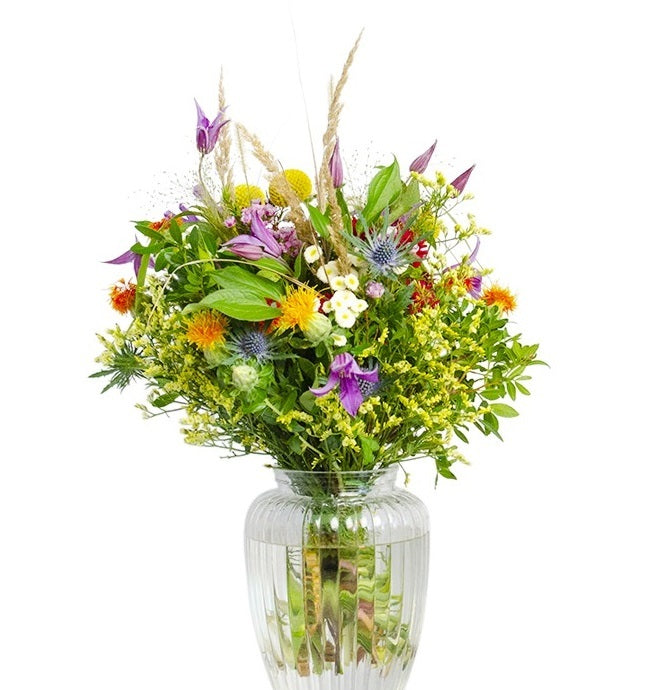 Wilde Blumenwiese