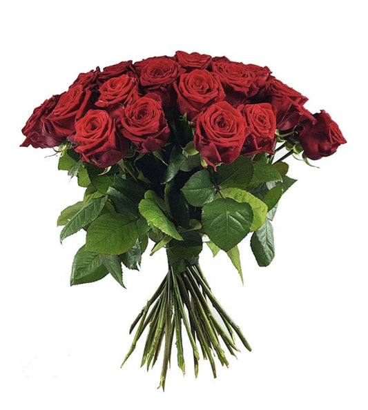 Rote Rosen Pur
